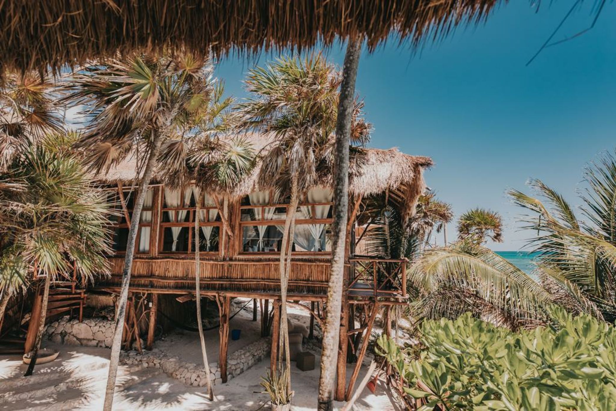 Papaya Playa Project