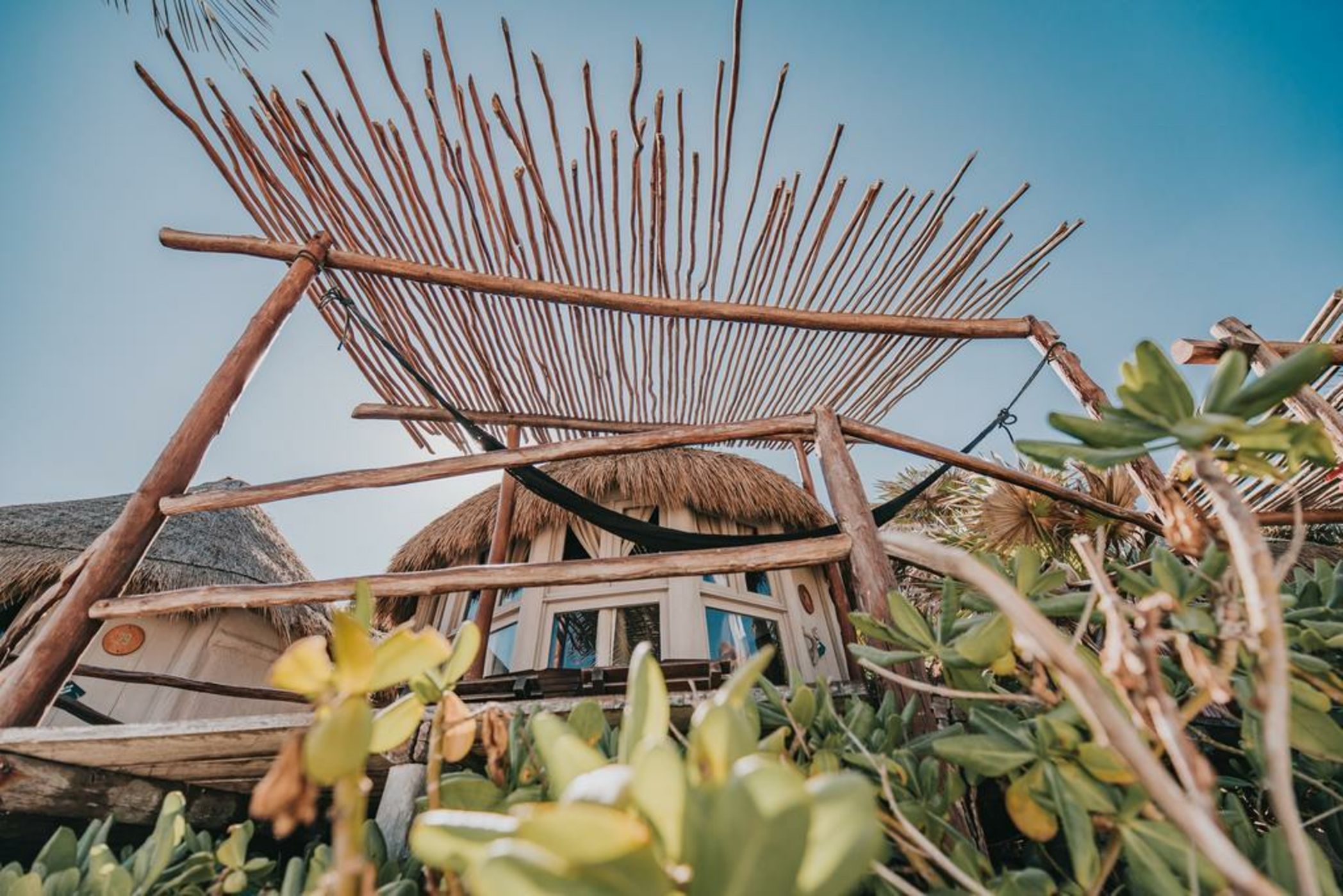 Papaya Playa Project