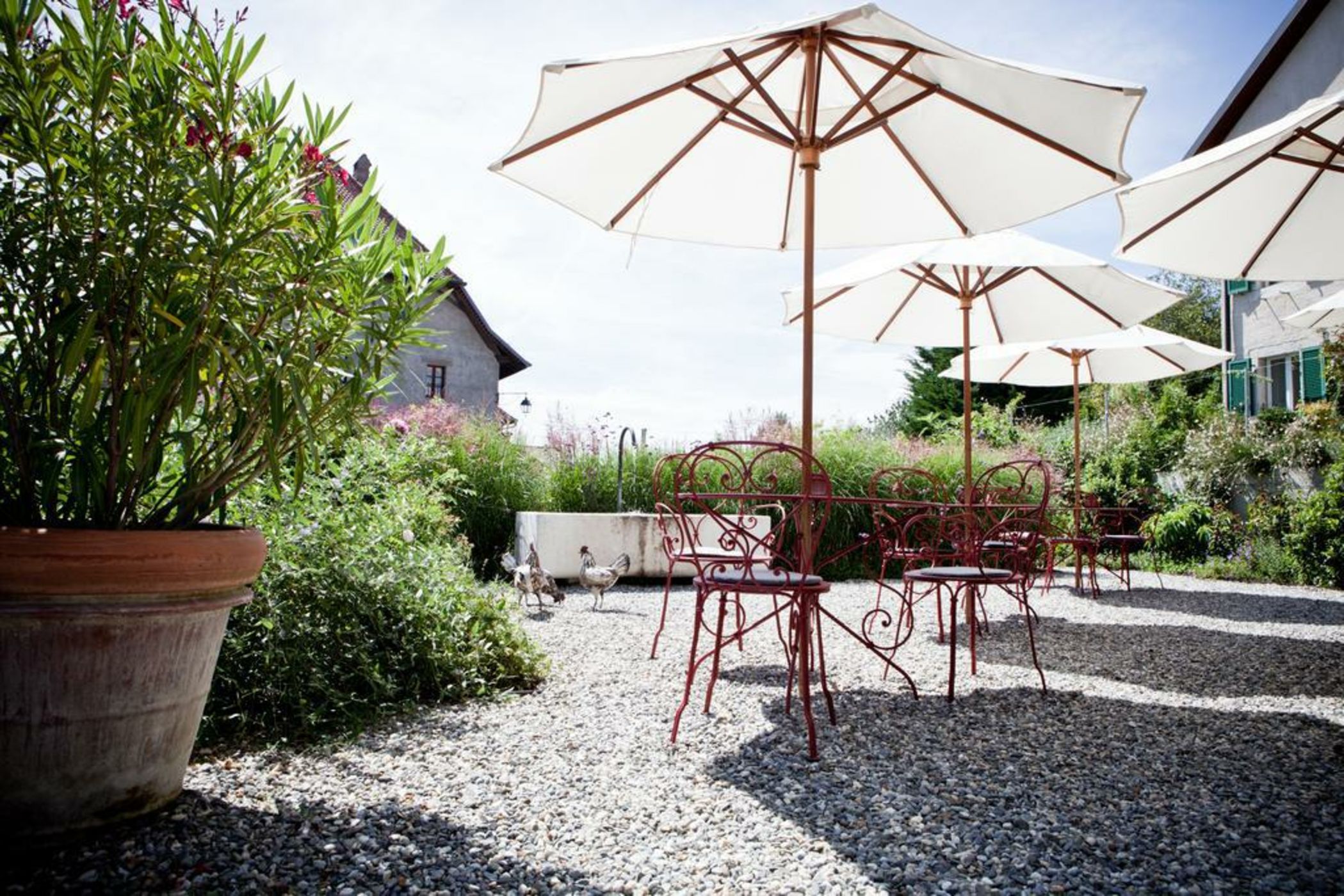 Le Coq Chantant B&B and Boutique Hotel St-Livres