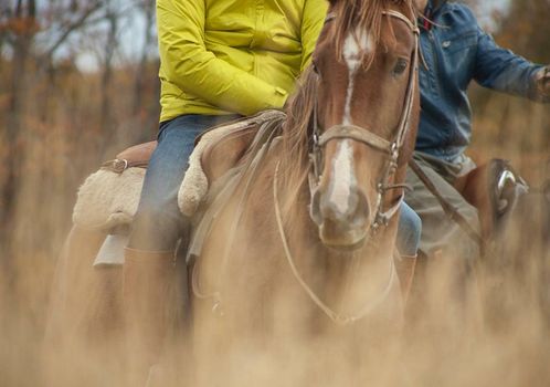 Explora en Torres del Paine - All Inclusive