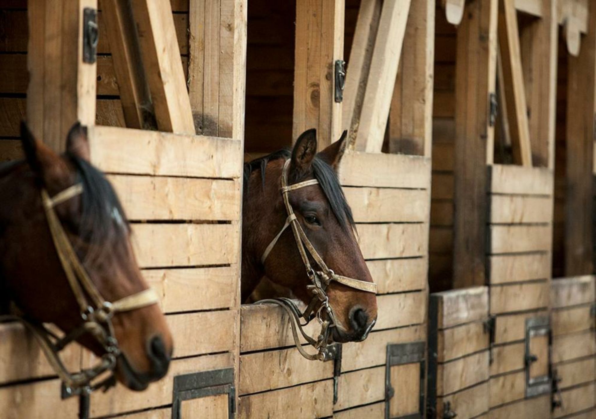 Explora en Torres del Paine - All Inclusive
