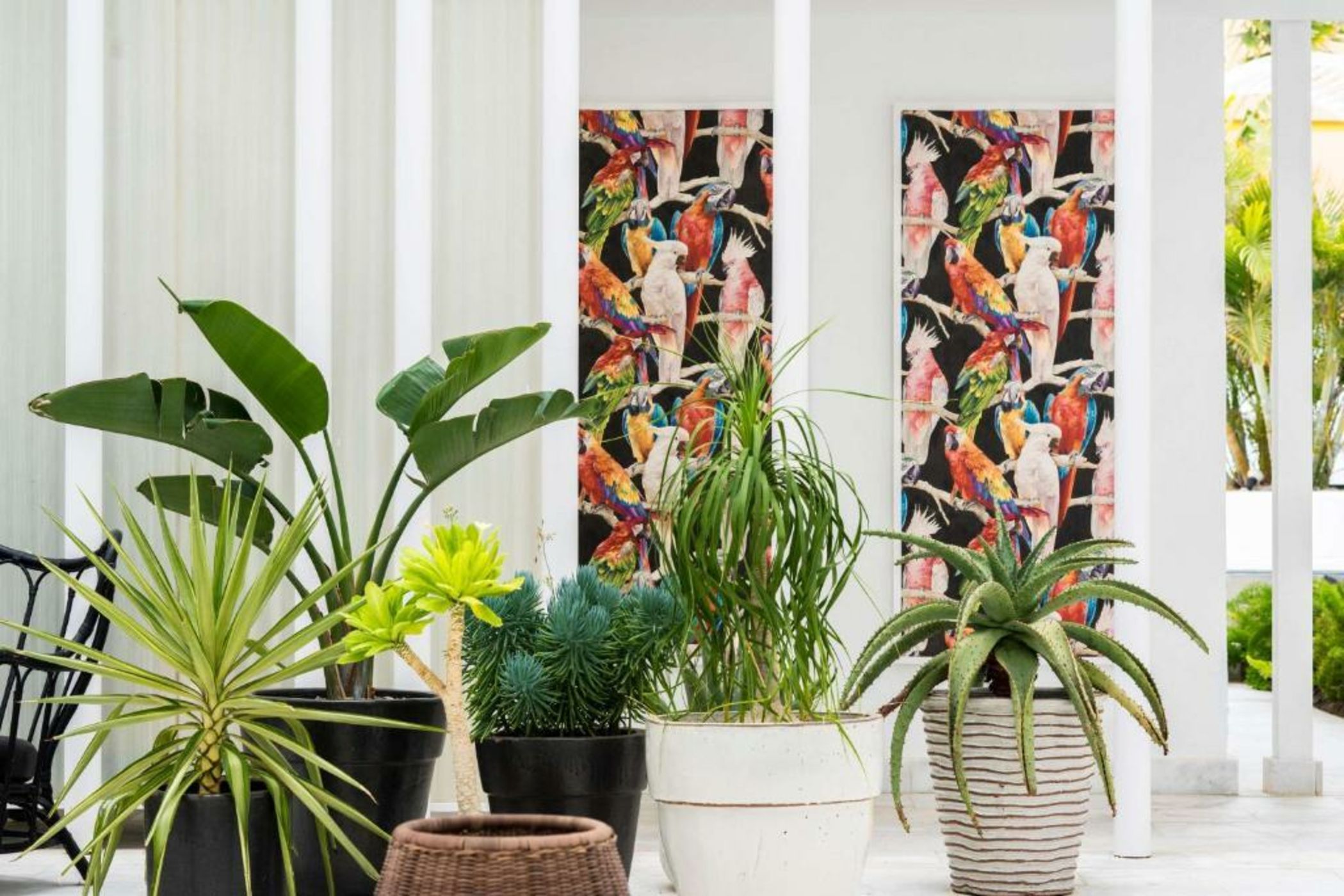 Gold Playa del Ingles - Adults Only